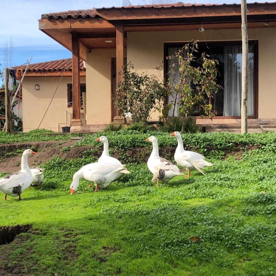 Alojamiento Los Nogales Santa Cruz Zewnętrze zdjęcie