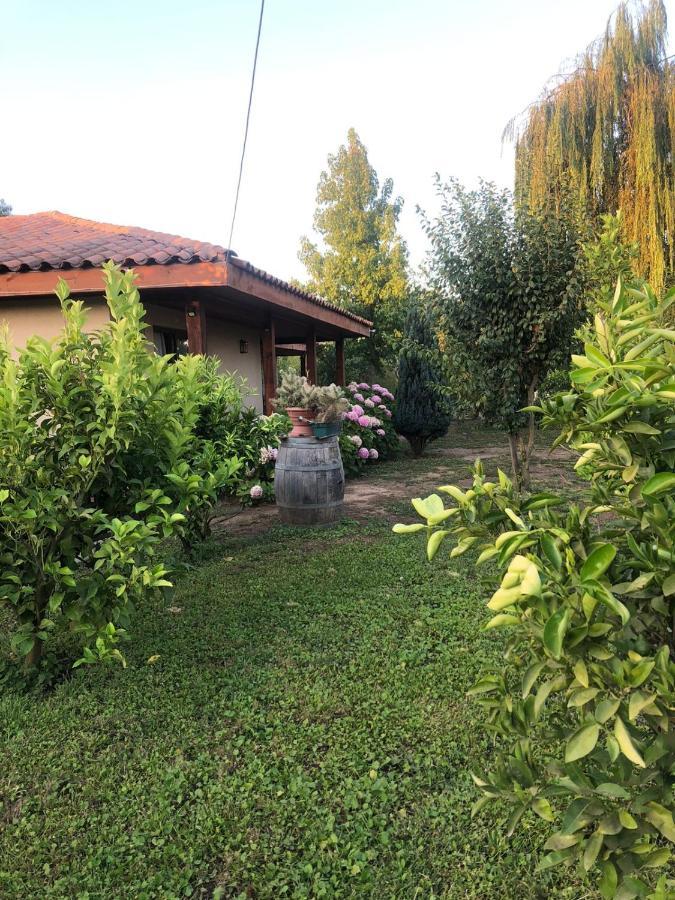 Alojamiento Los Nogales Santa Cruz Zewnętrze zdjęcie