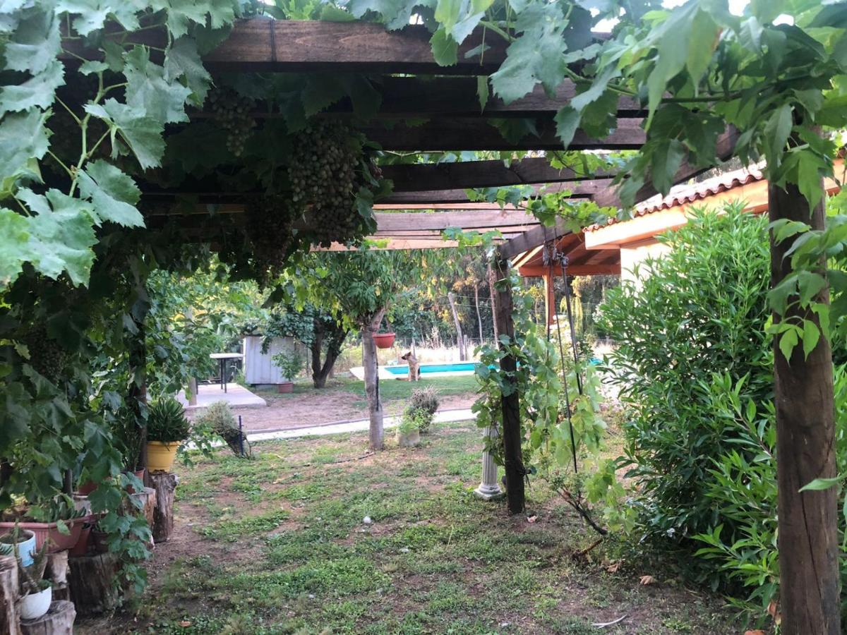 Alojamiento Los Nogales Santa Cruz Zewnętrze zdjęcie