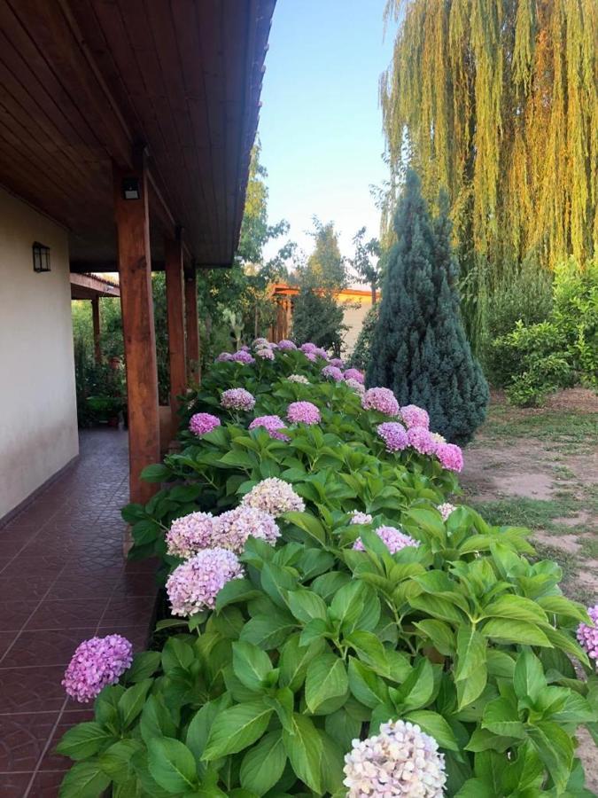 Alojamiento Los Nogales Santa Cruz Zewnętrze zdjęcie